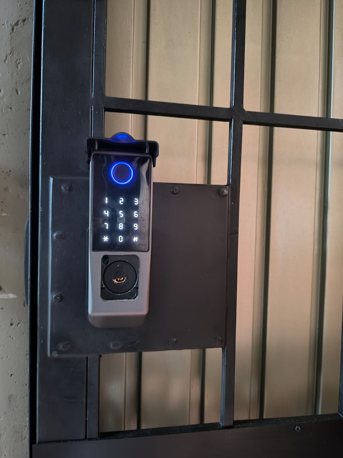 WhatsApp Image 2026-03-24 at 12.08.35 PM-4